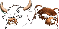 Condo bull and bear
